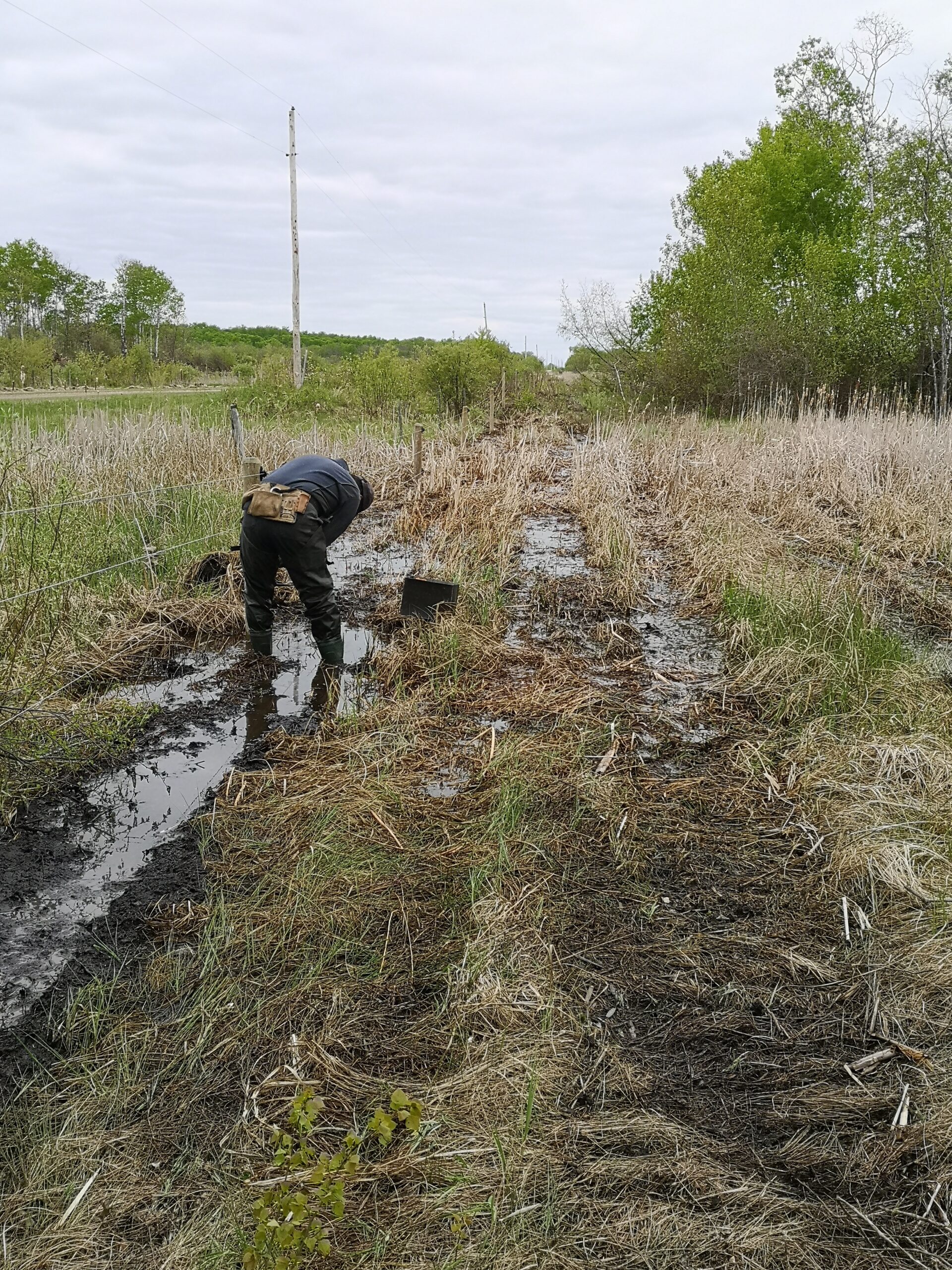 man making a fence in rain