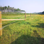 image of a barb wire fence