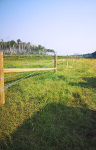 image of a barb wire fence