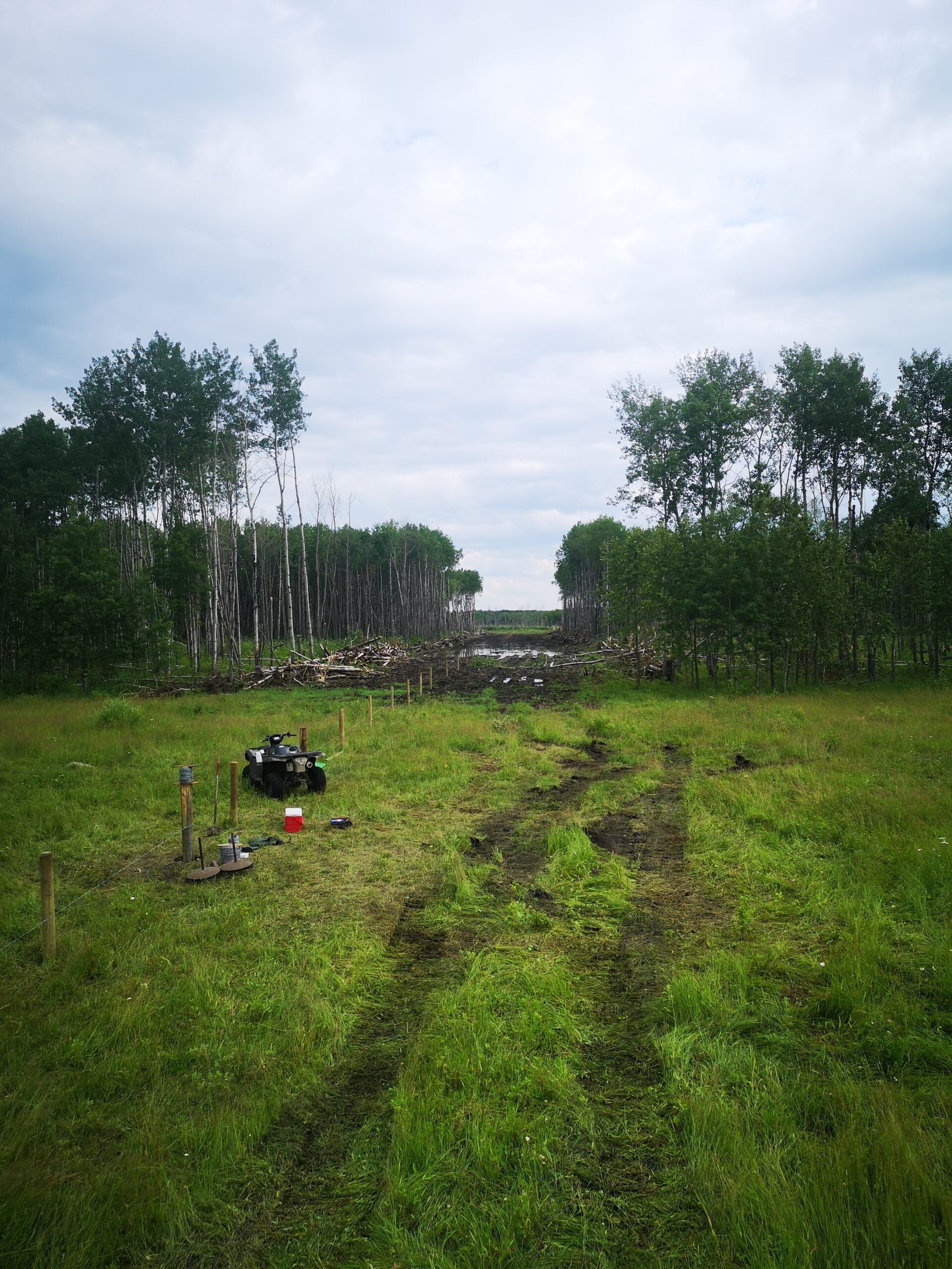 pasture with fence