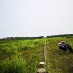 fence line and quad