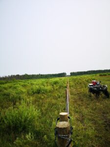 fence line and quad