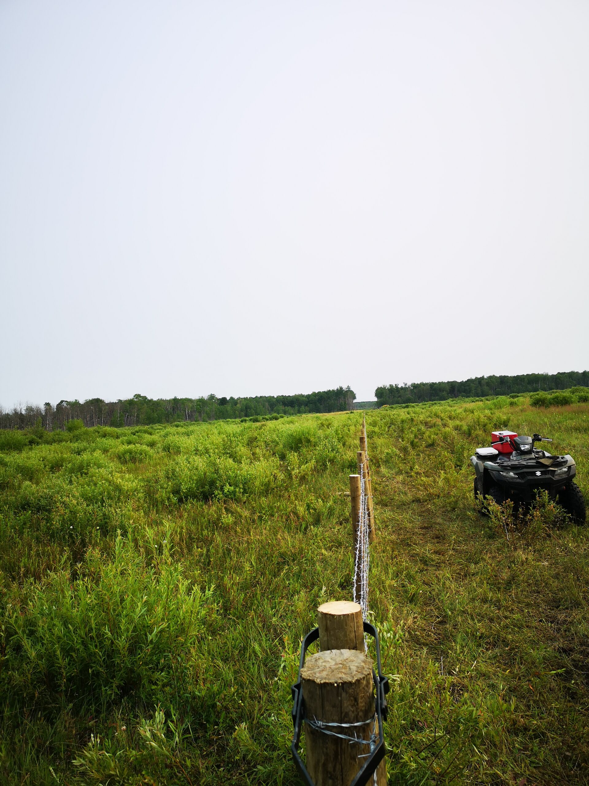 fence line and quad