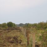 cloudy day with fence