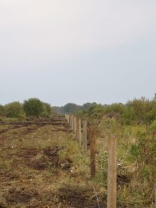 cloudy day with fence