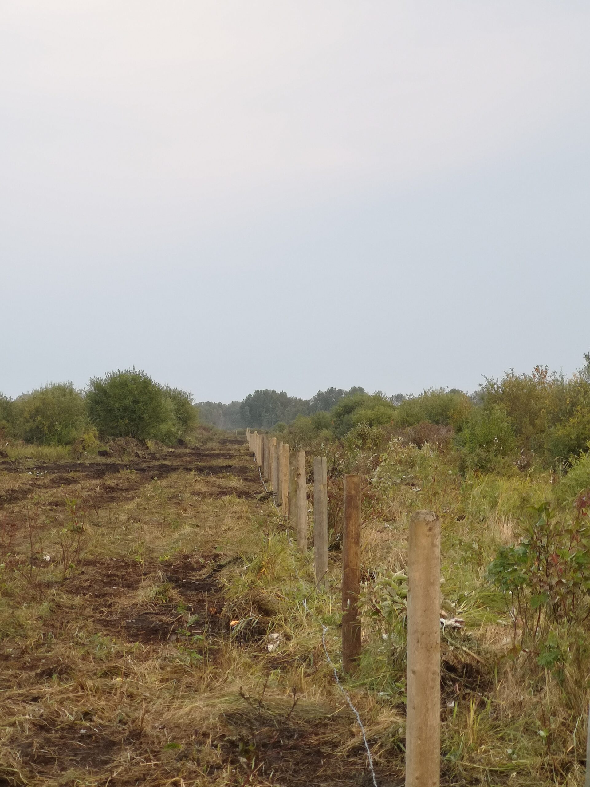cloudy day with fence